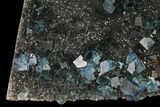 Blue Cubic Fluorite on Smoky Quartz - China #142621-1